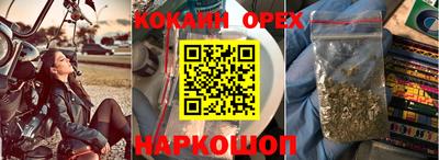 сатива Абакан